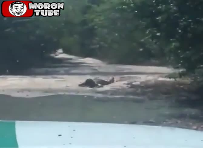 Video :In the meantime, in Brazil